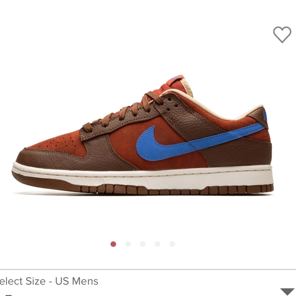 Nike dunk retro premium